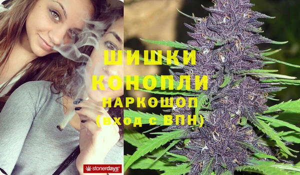 героин Богданович