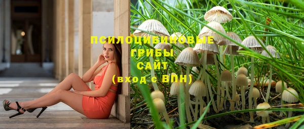 героин Богданович
